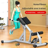 Banc de musculation commercial pour salle de sport, chaise romaine, banc d'hyperextension, appareil d'exercice pour la taille, entraîneur de muscles dorsaux