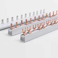 Disjoncteur de barre omnibus de type U 2P 63A 10MM2 pour armoire/boîtier de distribution