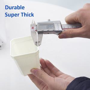 Bac à jardinage en plastique transparent coloré, petit carré, coloré, <span class=keywords><strong>pour</strong></span> pépinière, bonsaï, planteur de plantes, <span class=keywords><strong>Pot</strong></span> de fleur - Product Image 4