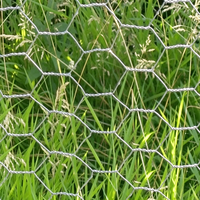 Grillage hexagonal galvanisé - Rouleau de grillage tissé galvanisé à chaud pour poulailler, clôture de jardin, construction avec dimensions personnalisées