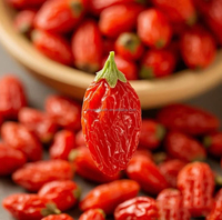 Natuurlijk China Goji Berry Wolf Berry Fruit Rood Goji Gedroogd Oem Pakket