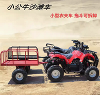 Quad à essence puissant, véhicule utilitaire agricole, buggy des dunes pour adultes