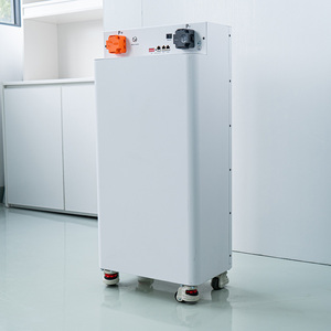 Kit de Batería DIY de 48V 51.2V 280AH con BMS3.0 Inteligente para Caja Seplos, Sistema Apilable de Celdas de Litio de División Vertical para Caja Seplos - Product Image 3