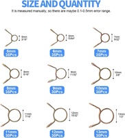 Collier de serrage à ressort de torsion en acier inoxydable à fil unique pour automobile, à verrouillage rapide, tailles en pouces/métriques, tailles personnalisées pour