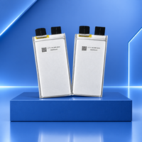 Sel Baterai Solid State 66000mAh 360Wh/kg 3.7V 3C Langsung dari Pabrik, Dapat Disesuaikan Tegangan & Kapasitas untuk FPV Racing & Freestyle UAV