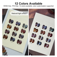 Vente en gros de gel pour ongles magnétique holographique scintillant ambre, 12 couleurs vintage marron œil de chat, sans HEMA, professionnel