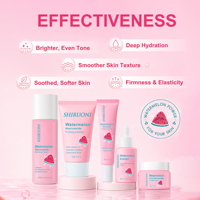 Kit de Soins Visage Vegan OEM ODM Doux à la Pastèque et Niacinamide, Réparateur Apaisant au Cica, Éclaircissant pour une Peau Éclatante