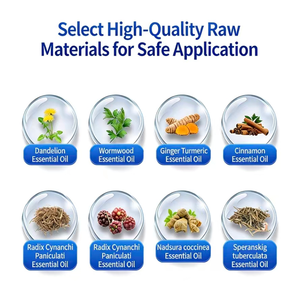 Parche Herbal Negro Premium TCM de Uso Externo para Alivio del Malestar de la Artritis y el Reumatismo, Fórmula Natural para Cuidado en el Hogar, 10 Unidades - Product Image 4