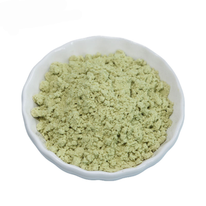 Protéine de graine de citrouille biologique de haute qualité 60% <span class=keywords><strong>poudre</strong></span> d'extrait de graines de citrouille - Product Image 4