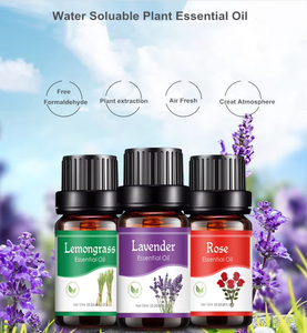 Huiles essentielles naturelles de <span class=keywords><strong>lavande</strong></span>, menthe, orange et bois de santal, parfum aromatique pour diffuseur d'ambiance, humidificateur, spa, utilisation quotidienne - Product Image 5