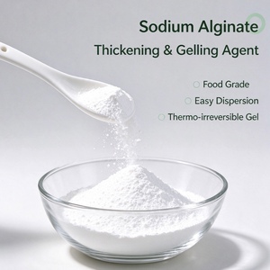 Alginato de Sodio en Polvo de Grado Alimenticio e Industrial E401 CAS 9005-38-3 para Espesar y Estabilizar Soluciones, Precio al por Mayor - Product Image 3