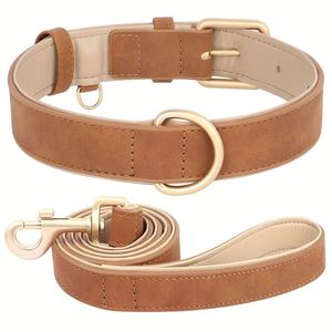 Ensemble collier et laisse pour chiot en cuir PU, collier pour chien en cuir PU souple et laisse de promenade réglable pour chien de petite et grande taille - Product Image 6