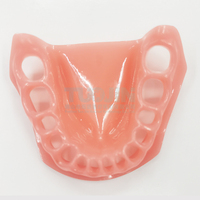 Modèle de dent standard pour l'éducation dentaire, avec gencive souple en silicone, typodont à mâchoire souple pour la pratique dentaire