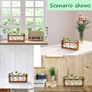 Dropshiping Plant Terrarium With Wooden <b>Stand</b> Desktop Glass Planter Bulb Vase Hydroponics Holder Propagation Station - Product Image 2