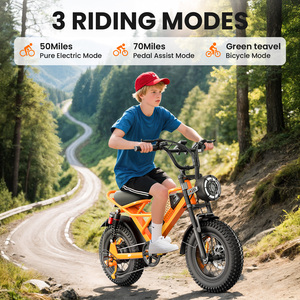 Eilleo Moto Cross Mini Motorisée 16 Pouces pour Enfants de 10 à 16 Ans, Design Cool, avec Frein à Disque M6 Pro - Product Image 4