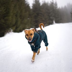Qiqu suministros para mascotas personalizado nuevo diseñador de lujo pequeño mediano grande <span class=keywords><strong>Jack</strong></span> Russell <span class=keywords><strong>Terrier</strong></span> ropa cálida invierno perro cuello alto polar - Product Image 4