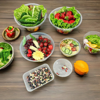 Lunch Rechthoekige Ronde Plastic Afhaallocatie Fruitverpakkingen Verse Snelle Dikke PP Voedselcontainers