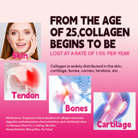 Eikel Oem Collageen Peptiden Poeder Supplement Voor Vrouwen Mooie Huid Haar Nagels Bulk Levering Multi Collageen Peptiden Poeder