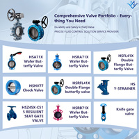 Vanne papillon manuelle OEM ODM DN100 en fonte, matériau EPDM, raccord demi-tube, modèle SS316