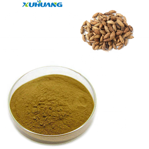 Sibirya Çoban Çiçeği Meyvesi/Xanthium Sibiricum Ekstresi - Product Image 1