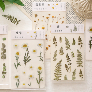 Hot 12 stili Botanical Deco Clear Stickers Set Scrapbooking Card abbellimento Plant Lover Gift adesivi a tema floreale fustellati - Product Image 5