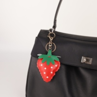 Unieke fruit-tasbedel, modieus decoratief accessoire voor alle gelegenheden, handtas, rugzak, bagage, tasversieringen