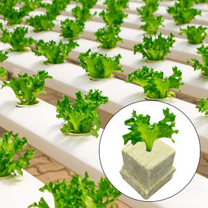 Cube de semis hydroponique pour la culture de légumes fruitiers matrice de semis sans sol bouchon de laine de roche équipement hydroponique d'irrigation - Product Image 2