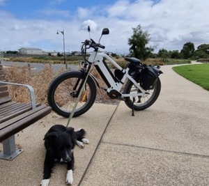 Vélo électrique à gros pneus avec moteur central Bafang M620 de 1000W, double batterie au lithium, et <span class=keywords><strong>remorque</strong></span> de transport - Product Image 5