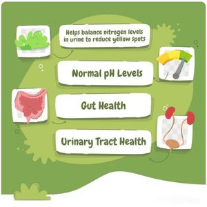 Integratori e Vitamine per la Salute del Tratto Urinario degli Animali Domestici Più Venduti Snack per Cani con Probiotici - Product Image 2