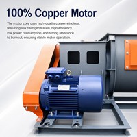Professioneller Hochdruck-Direktantrieb Industrieller Zentrifugalventilator aus Edelstahl, OEM-Anpassbar für Staubabsaugung