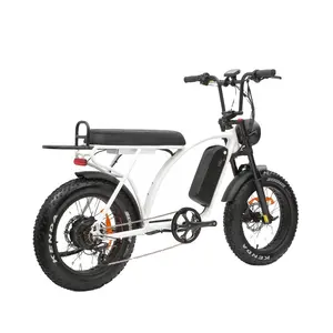 KAIYI e-bike Motor ganda, desain baru baterai ganda layar LCD pilihan Pedal sepeda listrik membantu ban lemak 5000w sepeda listrik