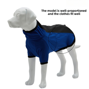 Mannequin <span class=keywords><strong>de</strong></span> chien Labrador grandeur nature professionnel pour l'affichage <span class=keywords><strong>de</strong></span> vêtements pour animaux <span class=keywords><strong>de</strong></span> compagnie, modèle <span class=keywords><strong>de</strong></span> chien en fibre <span class=keywords><strong>de</strong></span> verre détachable, accessoire <span class=keywords><strong>de</strong></span> statue - Product Image 4