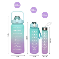 Ensemble de bouteilles d'eau sportives réutilisables en plastique avec logo personnalisé, 3 en 1, avec support pour téléphone, pour les voyages