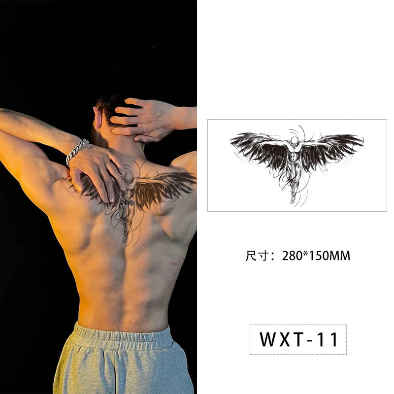 WXT-011    ดับบลิวเอ็กซ์ที-011