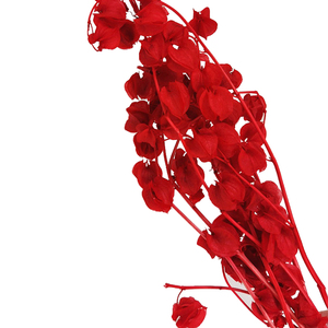Wholesale Event Decorations Resin Art Real Natural Immortal <strong>Dried</strong> <strong>Plants</strong> and Preserved Flowers - Product Image 3