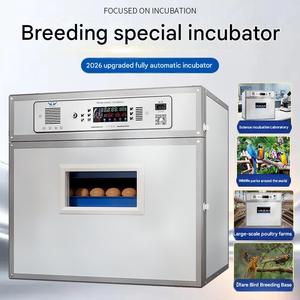 Incubateur d'œufs automatique, capacité de <span class=keywords><strong>80</strong></span> œufs, machine d'éclosion pour poulets, canards et cailles - Product Image 5