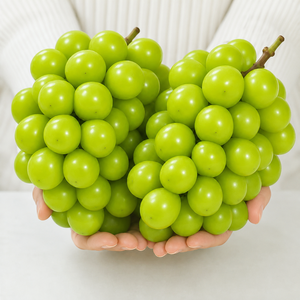 <span class=keywords><strong>Uva</strong></span> da Tavola Fresca Senza Semi Bianca Dolce e Succosa, <span class=keywords><strong>Uva</strong></span> Sunshine Rose per Esportazione all'Ingrosso - Product Image 4