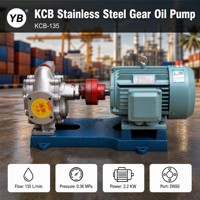 KCB 135 Getriebeölpumpe 135 LPM 2,2 KW 304 Edelstahl Chemikalienbeständige Schmierpumpe mit Elektromotor