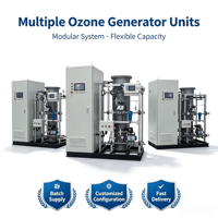 Générateur d'ozone 200g/h avec compresseur sans huile pour le traitement de l'eau d'incubation