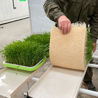 Plateaux de culture hydroponique d'intérieur pour micro-légumes avec un design robuste pour améliorer le système de ventilation des racines