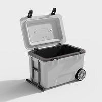 Réfrigérateur de voiture portable en plastique isolé personnalisé de 50 L, glacière isotherme Igloo pour aliments, barbecue, pêche