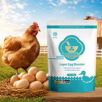 Prémélange d'acides aminés Lysine, Méthionine et Thréonine pour l'alimentation des poules pondeuses et des poulets de chair |   Stimulant de croissance