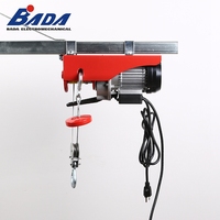 Nouvelle mini grue électrique à câble métallique 460W 4.1A 100/200/150/300/125/250kg 12/6m pour hôtels