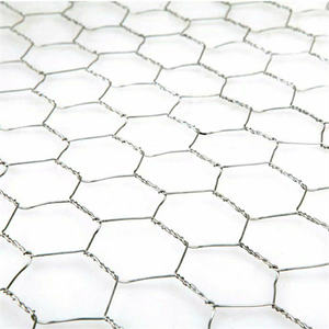 उच्च गुणवत्ता वाले भारी शुल्क जस्ती हेक्सागोनल तार जाल विरोधी जंग चिकन बाड़, उद्यान बाड़ लगाने के लिए जाल - Product Image 3
