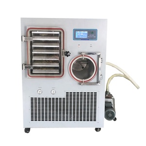Lyophilisateur sous vide LGJ-100F-B pour la transformation alimentaire, 220V, PLC et moteur, capacité 15kg - Product Image 3