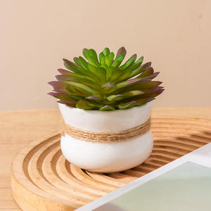 Maceta blanca pequeña de cerámica para decoración de plantas de interior de escritorio, artículo de regalo DB2874 - Product Image 2