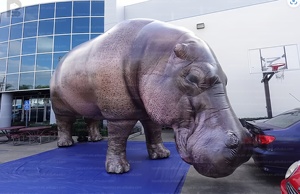 Hippopotame gonflable géant de 3m, 4m, 5m avec logo personnalisé, modèle réaliste d'animal sauvage pour publicité, idéal pour les zoos/événements éducatifs - Product Image 5