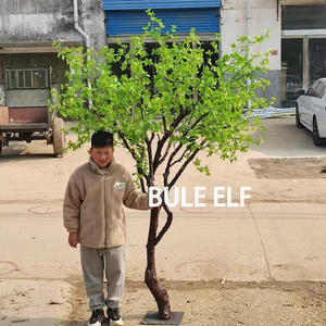 Thuis En Club Met Behulp Van Natuurlijke Nep Echt Hout Realistische Groene Voeten Boom Kunstmatige Boom Voor Landschapsarchitectuur - Product Image 5