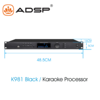 Processeur audio karaoké numérique professionnel Double ECHO + REVERB DSP effecteur coque métallique