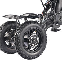 TriRaven 3000W Trike électrique tout-terrain à double moteur 60V 40Ah Trike électrique tout-terrain à vitesse maximale de 60 km/h E Trike